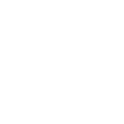 Server